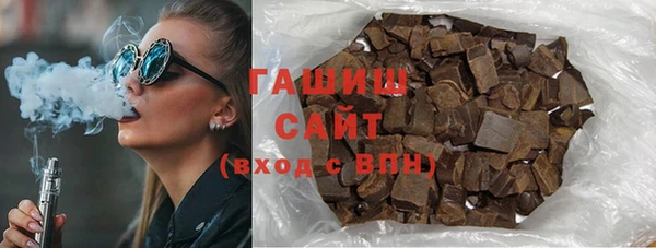 индика Няндома