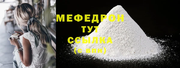 индика Няндома