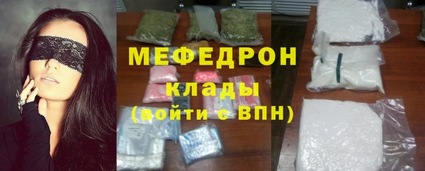 индика Няндома