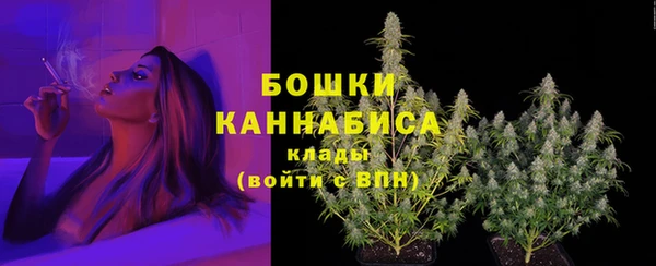 MESCALINE Вяземский