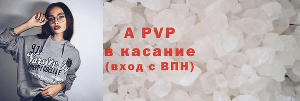 индика Няндома