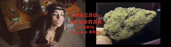 индика Няндома