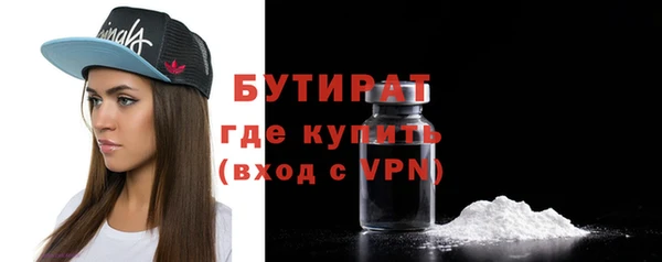 индика Няндома
