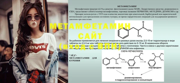 индика Няндома