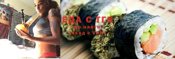 индика Няндома