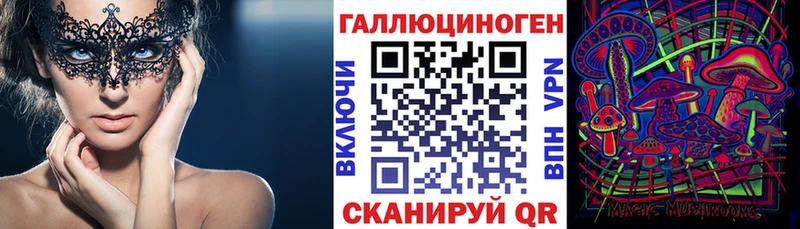 blacksprut ССЫЛКА  Оса  Псилоцибиновые грибы Magic Shrooms  купить  сайты 